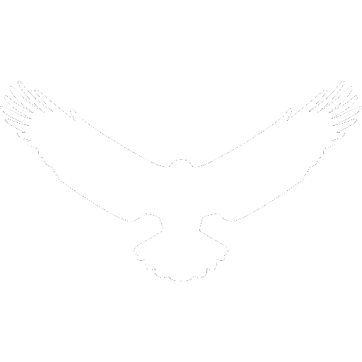 Imagem eagle